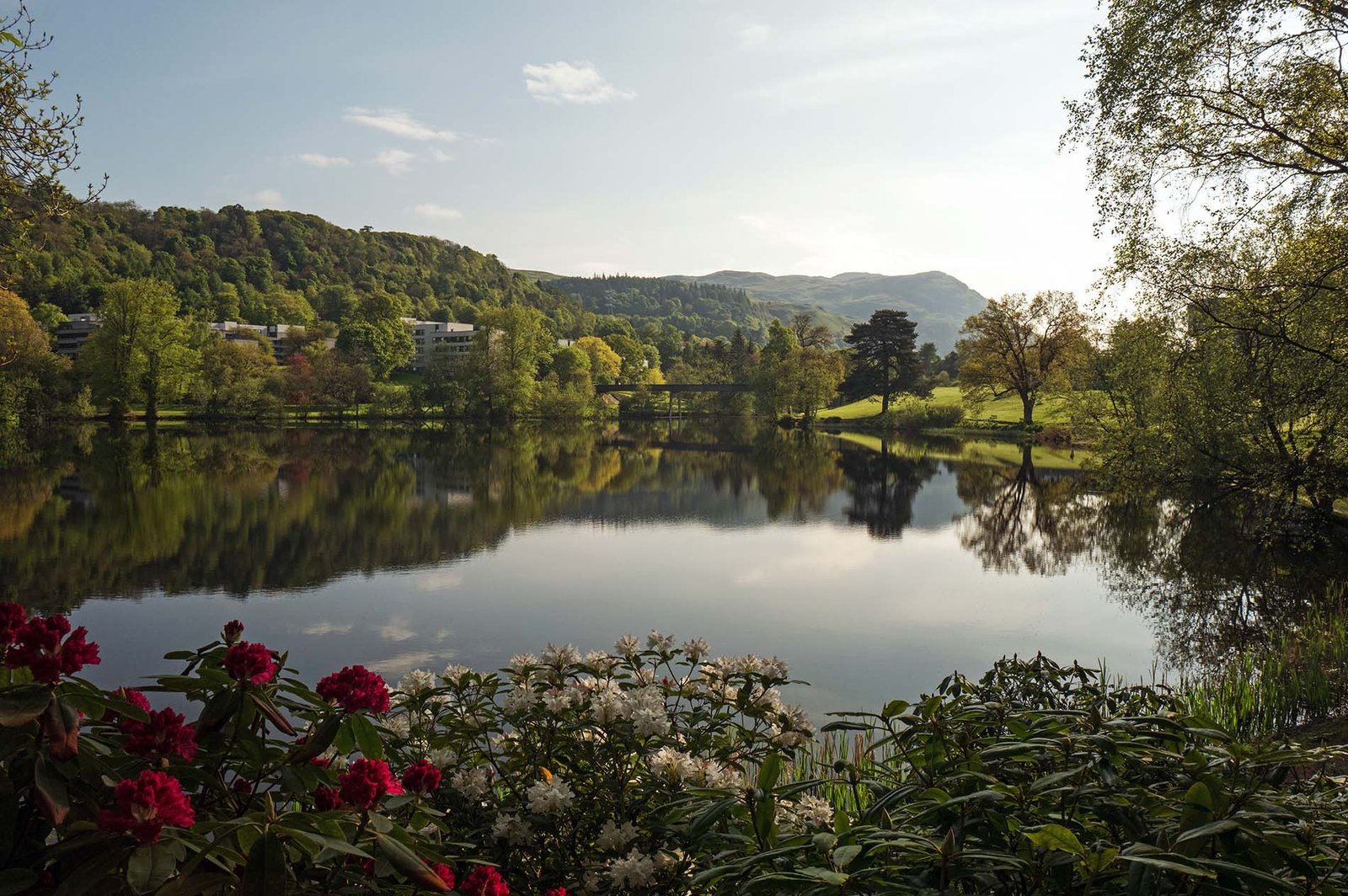 Airthrey Loch and Dumyat in May